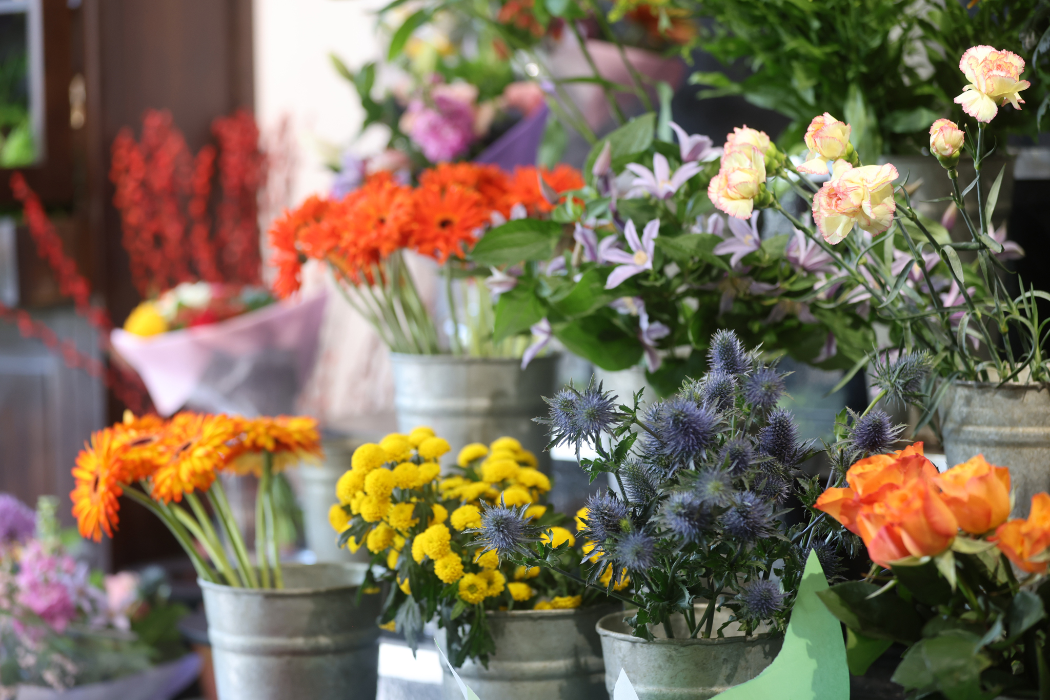 Inkoper worden bij Plantion