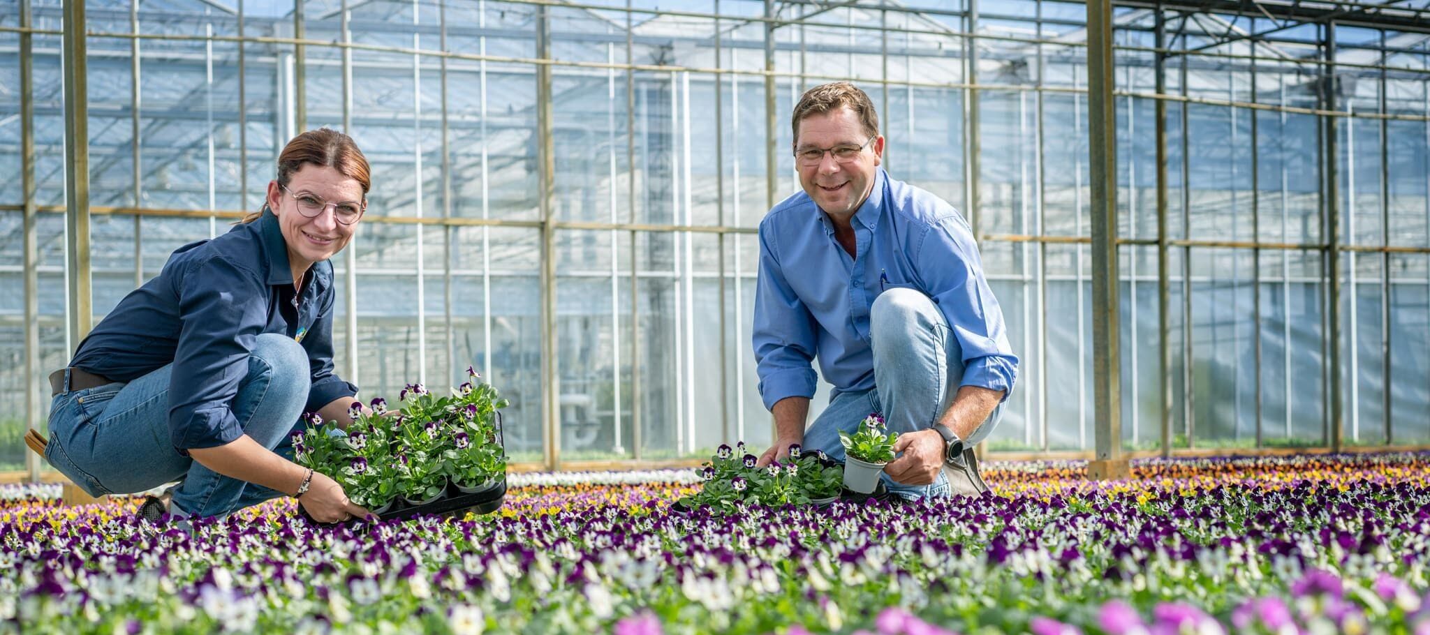 Aanvoerder worden bij Plantion