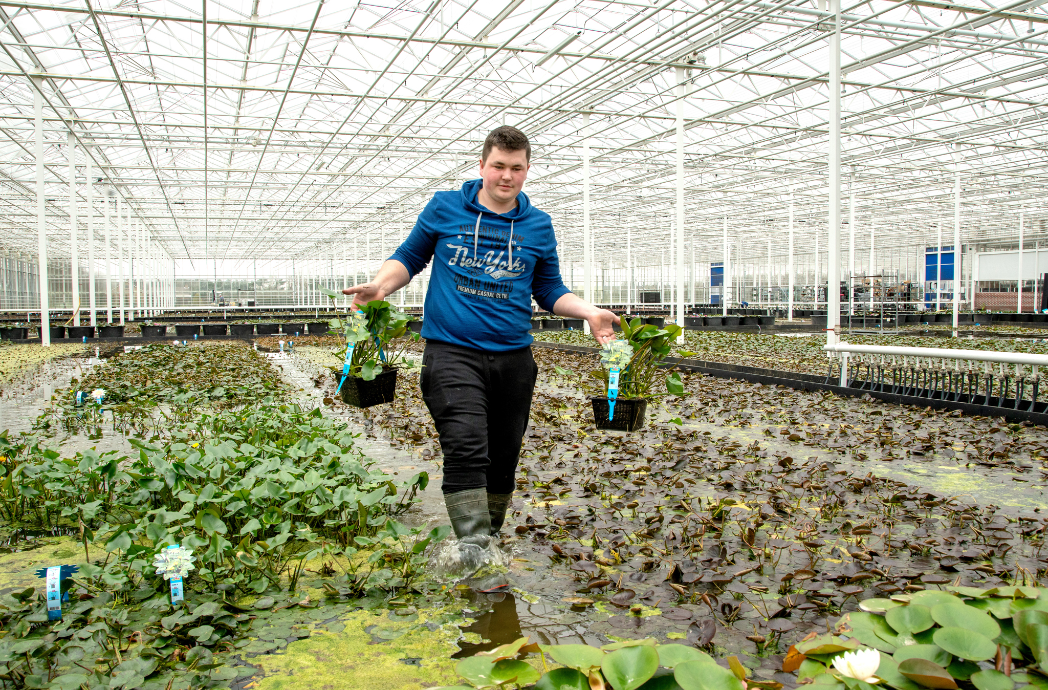 Aanvoerder worden bij Plantion