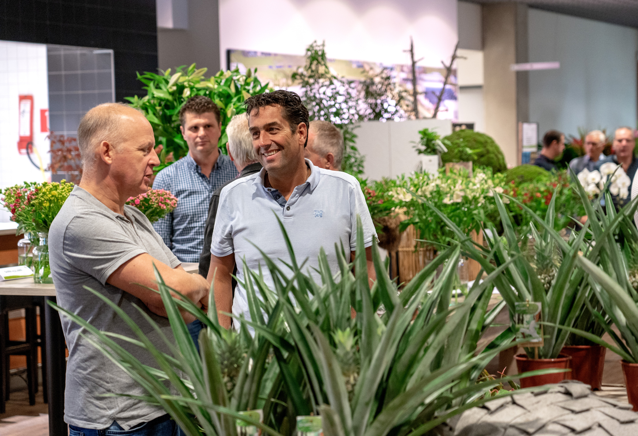 Bemiddeling bij Plantion