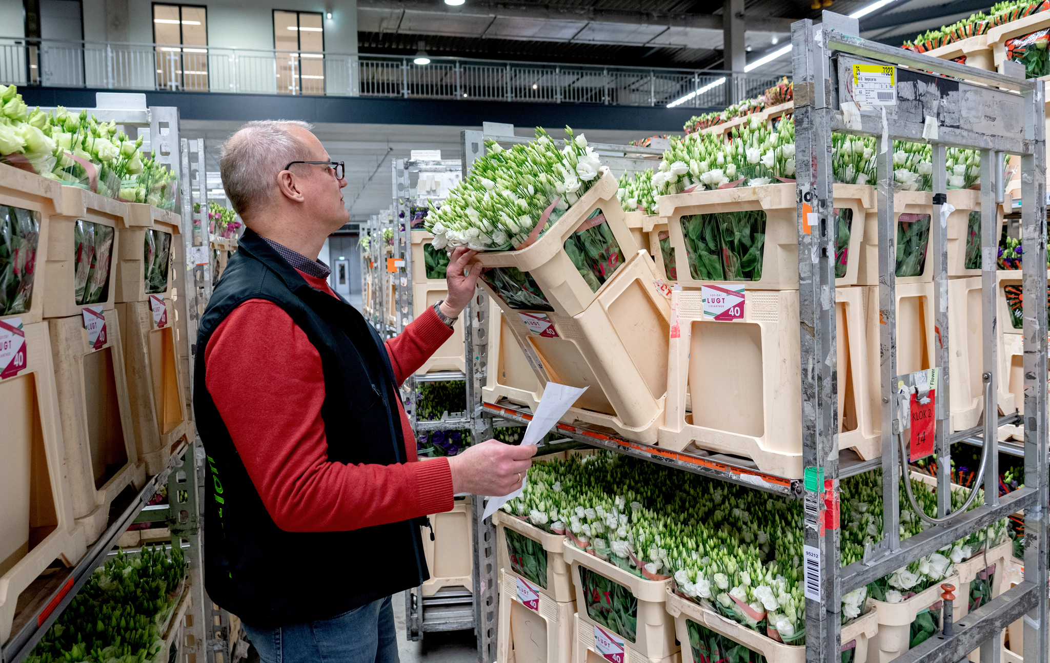 Aanvoerder worden bij Plantion