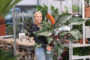 Plantion Shop &amp; Go