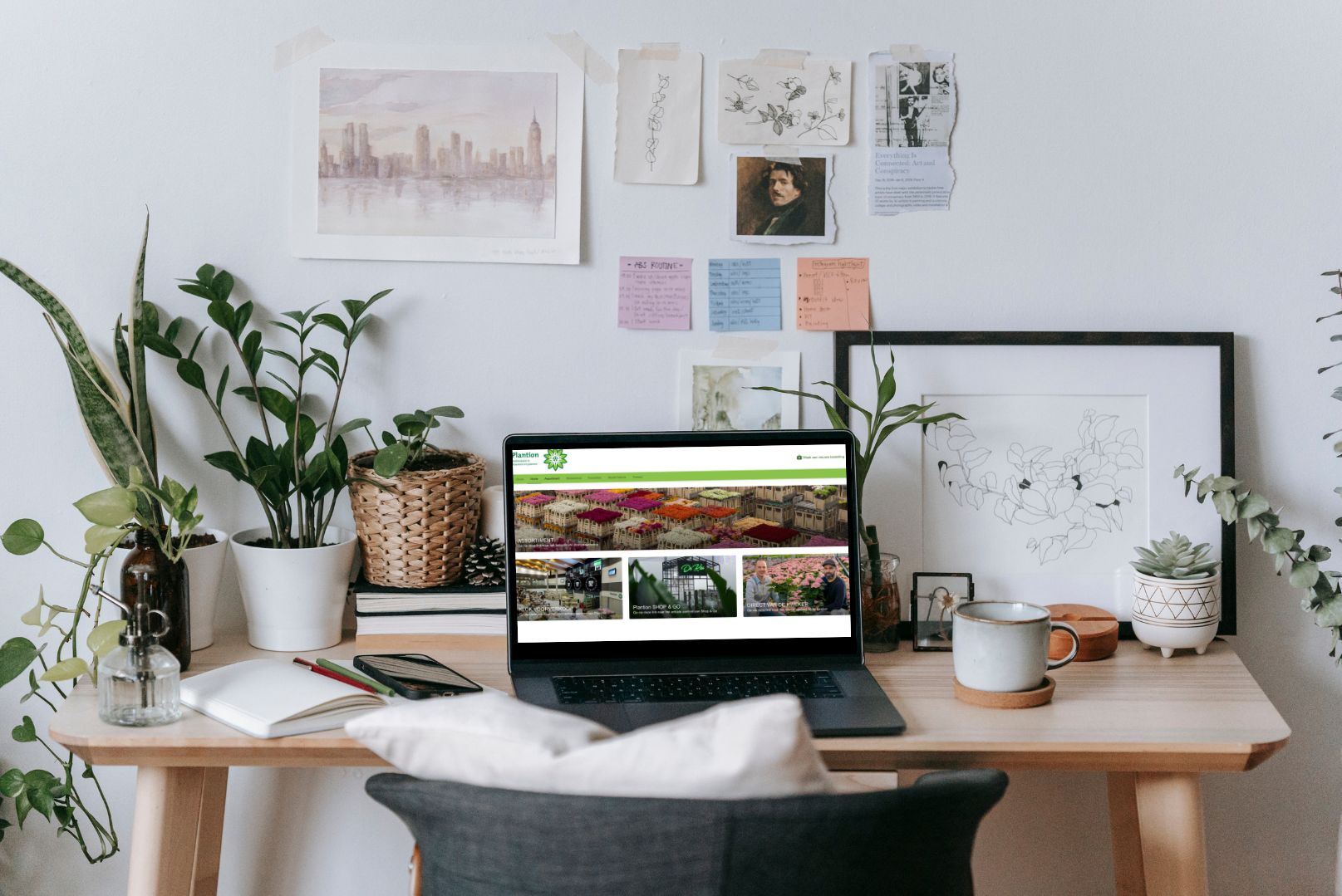 Vernieuwde werkwijze webshop Plantion