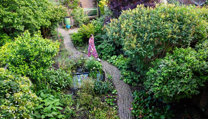 Voordelen van een groene tuin