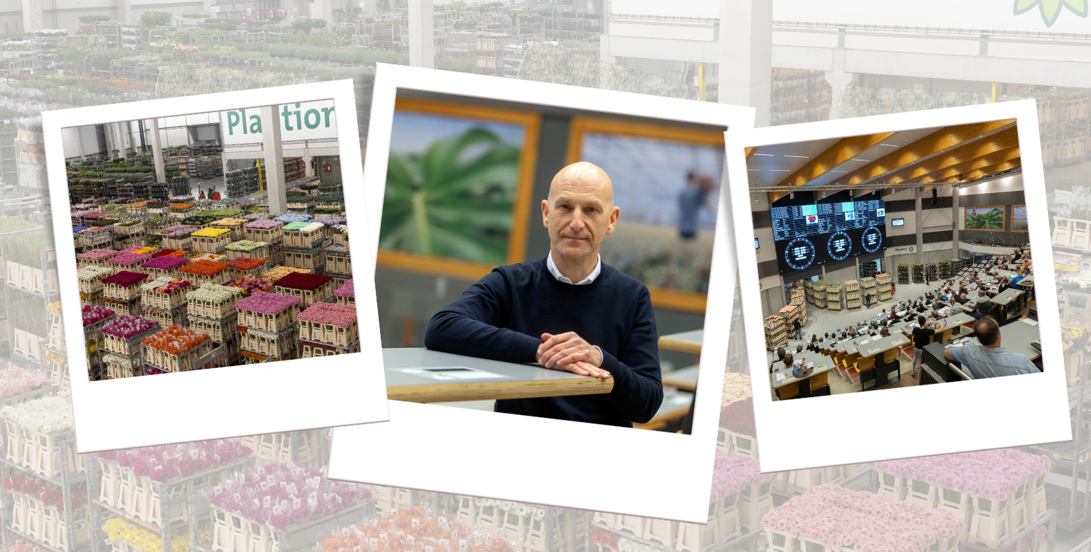 Plantion opent hub in Antwerpen voor Belgische inkopers