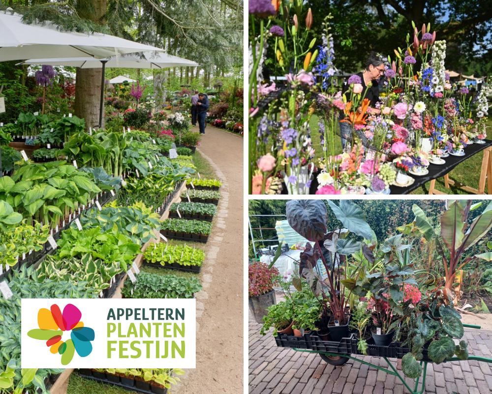 Appeltern plantenfestijn
