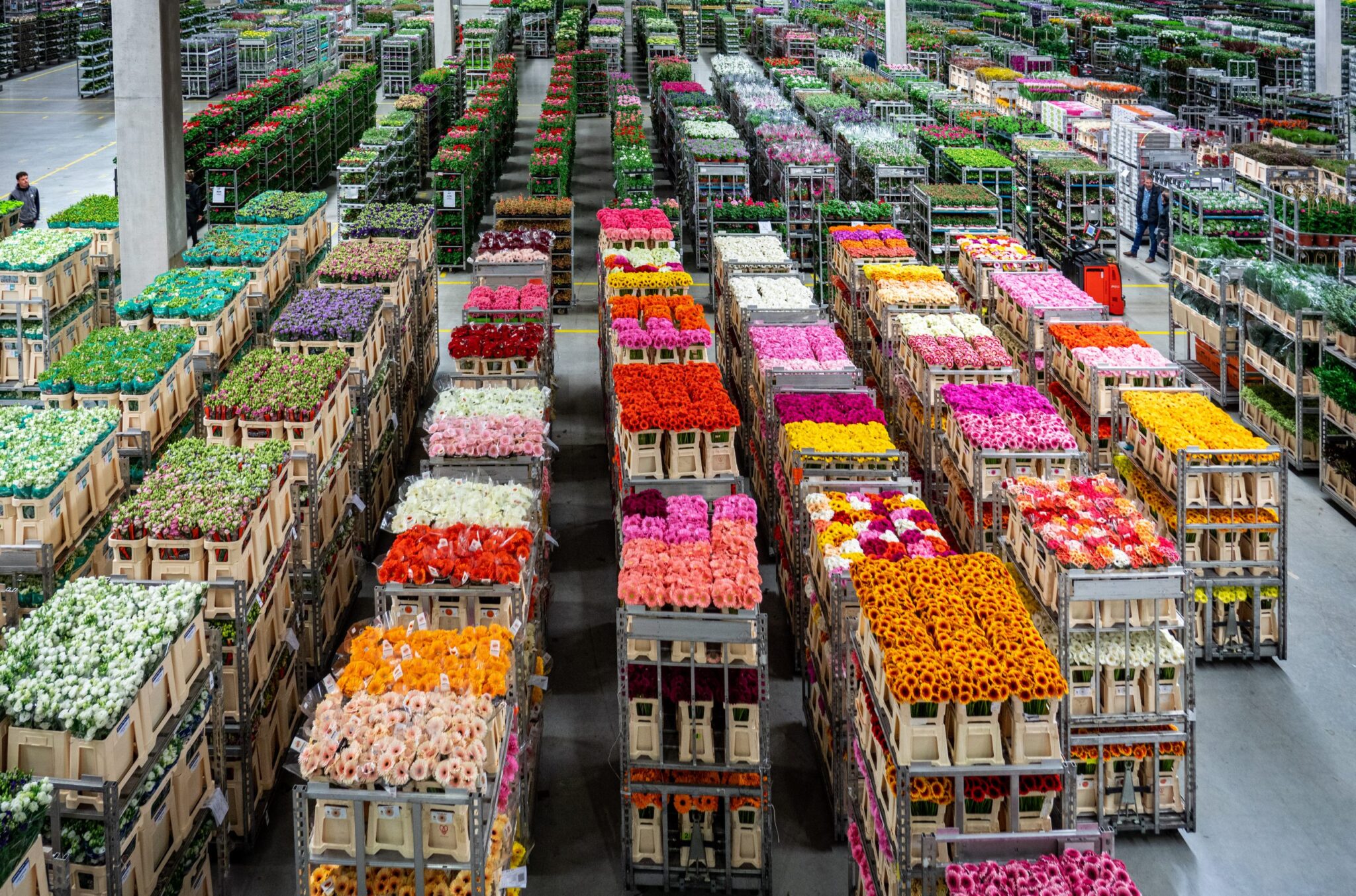 Kopen op Afstand Vacature distributiemedewerker Online bloemen en planten inkopen